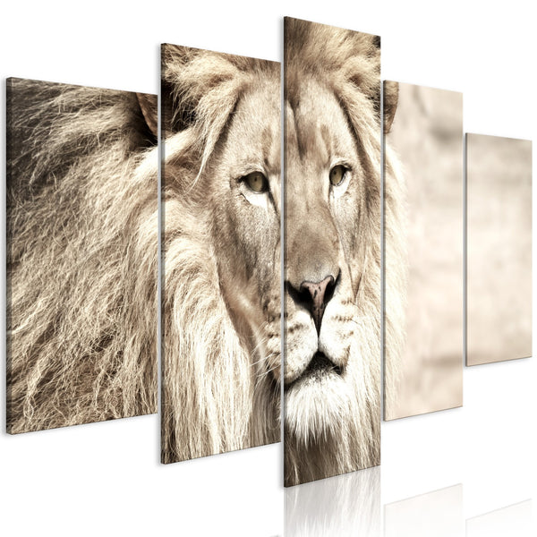 Quadro - The King of Beasts (5 Parts) Wide Beige