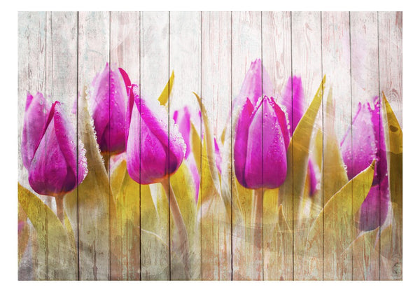 Carta da parati - Autunnali tulipani