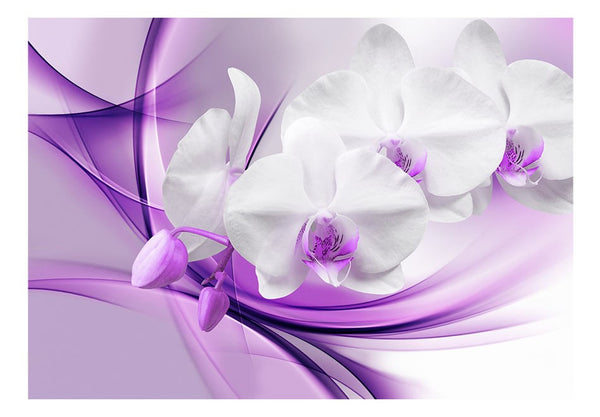 Carta da parati - Fiore di orchidea nel viola