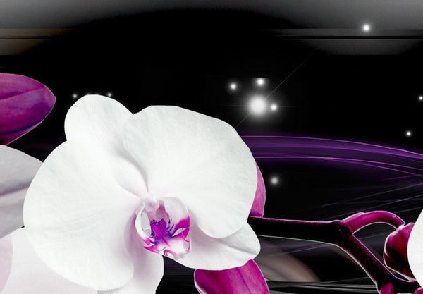 Quadro su tela - Orchidee su sfondo nero