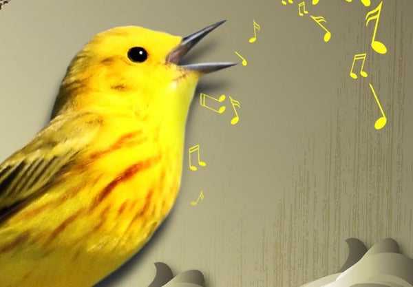 Quadro su tela - Canto dell'uccello giallo