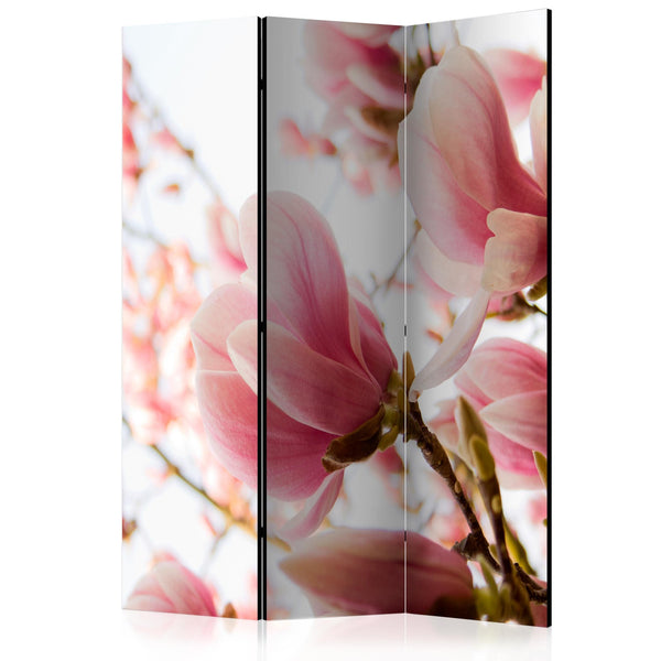 Paravento - Pink magnolia [Room Dividers]