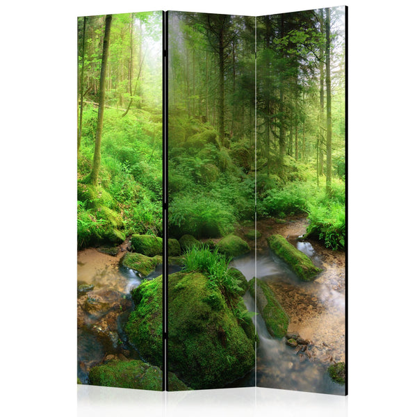 Separè per interni - Humid Forest [Room Dividers]