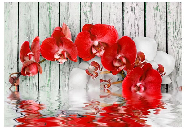 Carta da parati - Orchidea color rubino