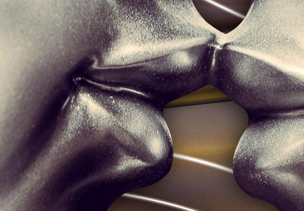 Quadro su tela - Bacio platino