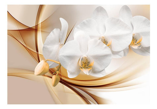 Carta da parati - Fiore di orchidea