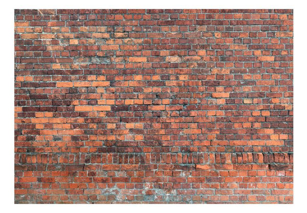 Carta da parati effetto mattoni - Vintage Wall (Red Brick)