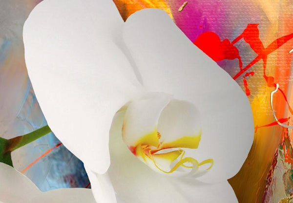 Quadro su tela - Orchidea e colori