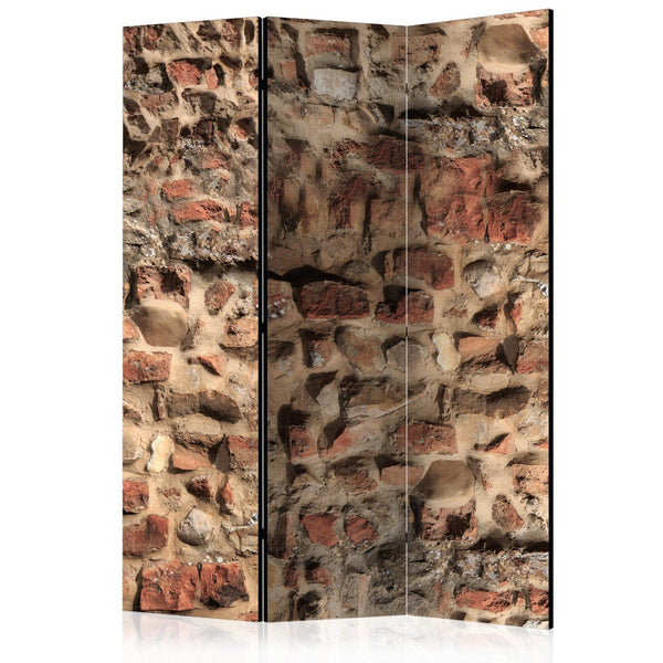 Separè per interni - Ancient Wall [Room Dividers]