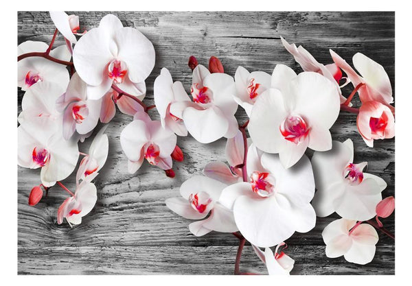 Carta da parati - Orchidee insensibili