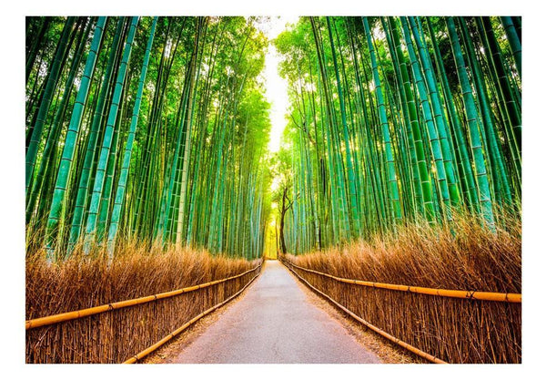 Carta da parati - Bamboo Forest
