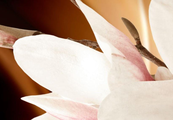Quadro su tela - Illumination (Magnolia)