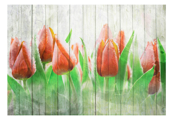Carta da parati - Tulipani rossi su legno