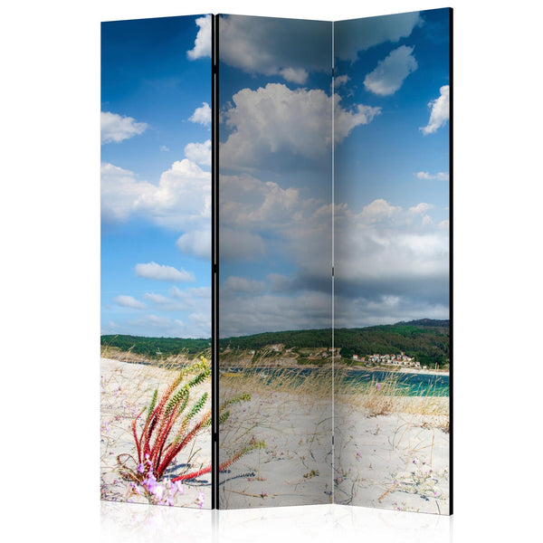 Separè per interni - Beach on the Costa da Morte [Room Dividers]
