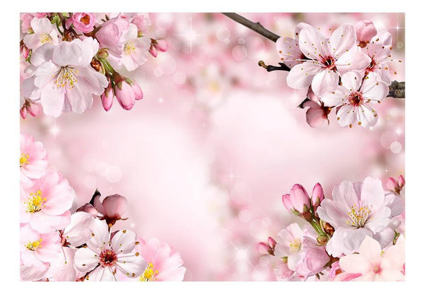 Carta da parati - Spring Cherry Blossom