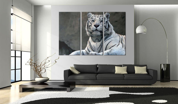 Quadro su tela - Tigre bianca