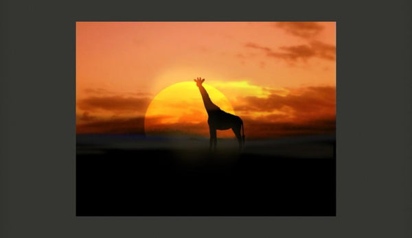 Carta da parati - Giraffa sullo sfondo del sole che tramonta
