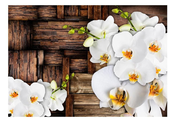 Carta da parati - Orchidee in fiore
