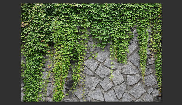 Carta da parati effetto mattoni - Muro verde