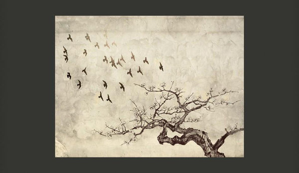 Carta da parati animali - Flock of birds