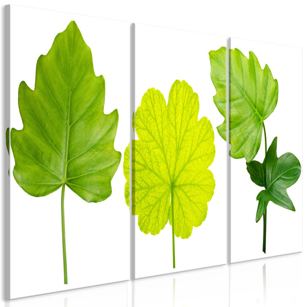 Quadro - Green Leaves (3 Parts)
