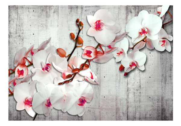 Carta da parati - Concrete Orchid