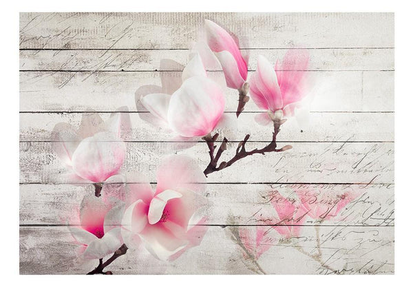 Carta da parati - Delicatezza della magnolia