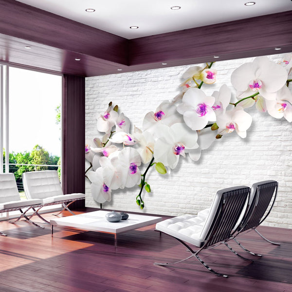 Carta da parati - Wall full of orchids II