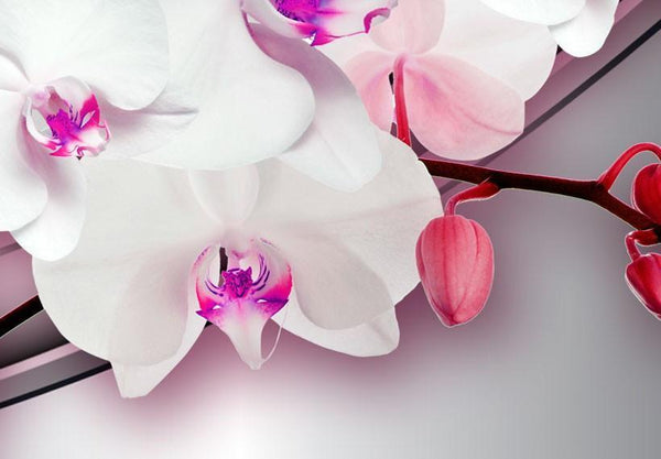 Quadro su tela - Canzone dell'orchidea