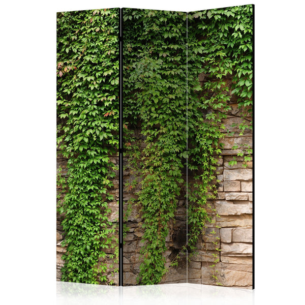 Paravento - Ivy wall [Room Dividers]